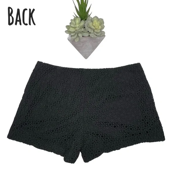 Banana Republic Shorts Eyelet Lace Dressy Black 12 Style 404156-00 - Picture 11 of 15